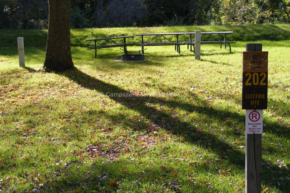 Campsite 202 in Marble Beach State Park Campground at Marble Beach